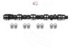 CAMPRO CP61103 Camshaft Kit